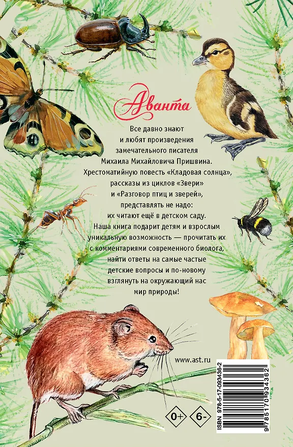 Книга Кладовая солнца (Михаил Пришвин) — 2