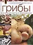 Грибы — 2425208 — 1