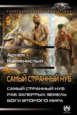 Книга Самый странный нуб (Артём Каменистый)