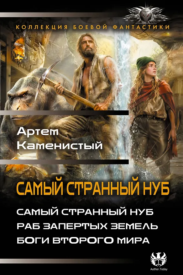 Книга Самый странный нуб (Артём Каменистый) — 1