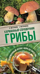 Грибы. Карманный справочник-определитель