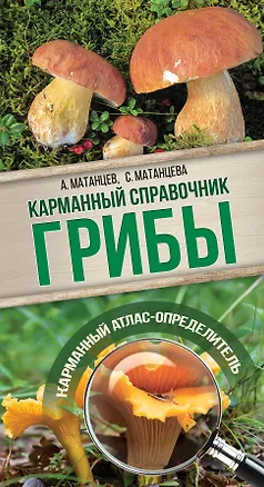 Книга Грибы. Карманный справочник-определитель (Александр Матанцев)