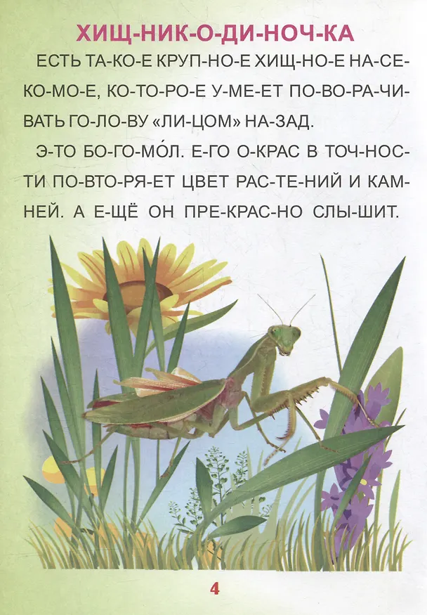 Книга Читаем по слогам. Крупные буквы. Читалочки-познавалочки. Рассказы: слоговой тренажер () — 4