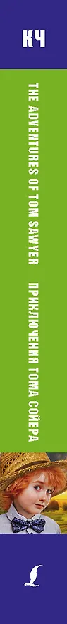 Книга Приключения Тома Сойера. Pre-Intermediate (Марк Твен) — 3