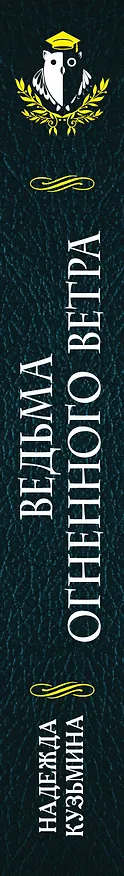Книга Ведьма огненного ветра (Надежда Кузьмина) — 3