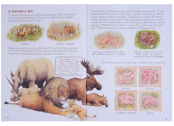 Книга Мамы и малыши (Ренне) — 3