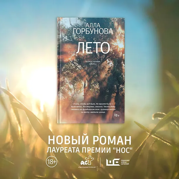 Книга Лето (Алла Горбунова) — 9