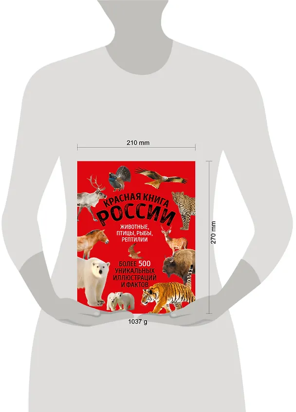 Книга Красная книга России. Большой формат. Более 500 уникальных иллюстраций и фактов (новое издание) (основной) (Юлия Добрыня) — 9