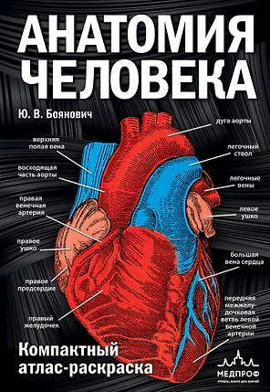 Анатомия человека: компактный атлас-раскраска