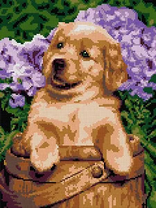 Алмазная мозаика "Забавный малышок", 30х40 см