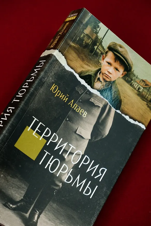 Книга Территория тюрьмы (Юрий Алаев) — 9