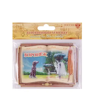 Магнит в форме книги «Воронеж», 8,7 х 6,2 см 1093505 2593085