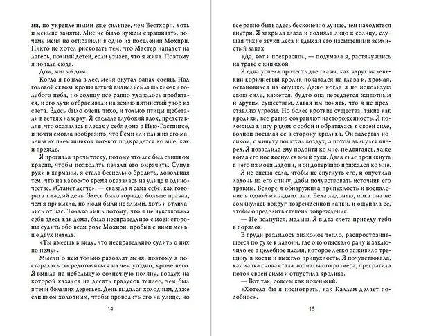 Книга Убежище (Карен Линч) — 9