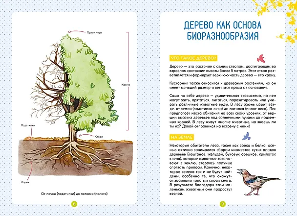Книга Лесные животные (Ксавье Жапьо) — 14