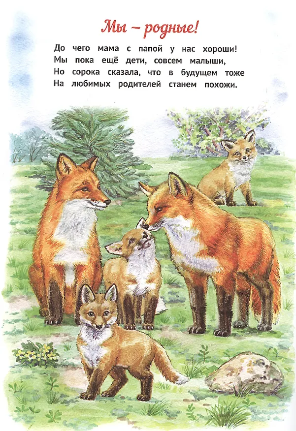 Книга Мы - родные! (Ирина Романова) — 2