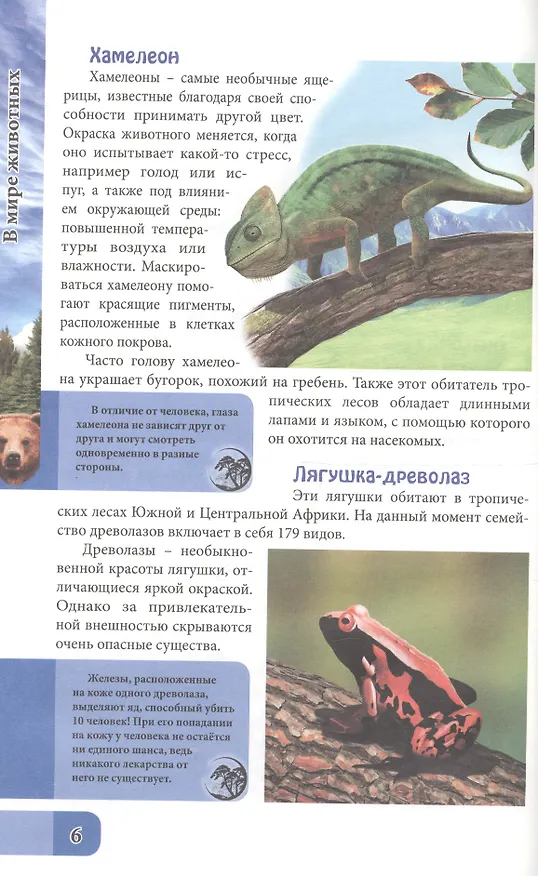 Книга ЭНЦИКЛОПЕДИЯ. В МИРЕ ЗНАНИЙ. В МИРЕ ЖИВОТНЫХ (Людмила Соколова) — 3