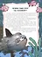 ЭНЦИКЛОПЕДИЯ В КАРТИНКАХ. МИР ПОД ВОДОЙ глянц.ламин.,тиснение, мелов. 215х290 — 2876656 — 3