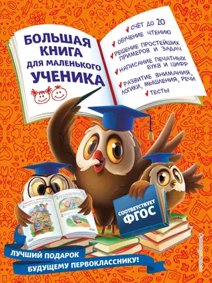 Большая книга для маленького ученика — 2919862 — 1