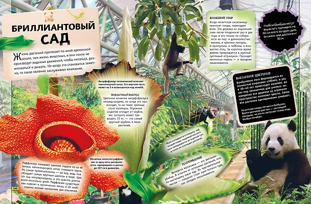 Книга Животные. Книга юного эрудита (Стив Паркер, Джон Фарндон, Камилла де ла Бедуайер) — 12
