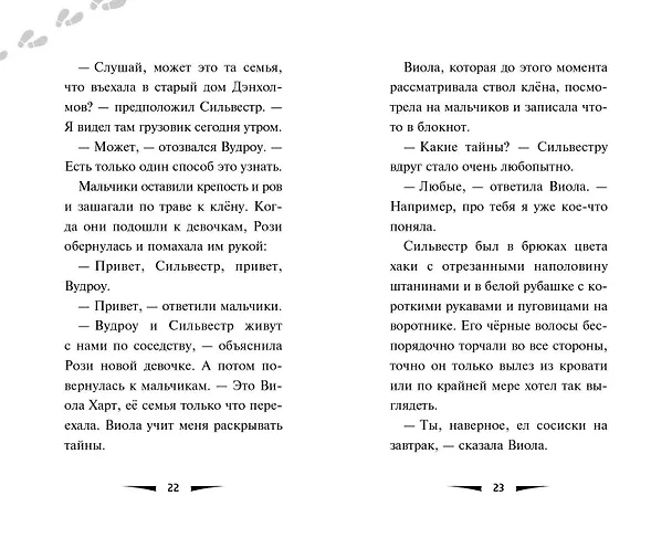 Книга Загадка заброшенного дома (выпуск 1) (Дэн Поблоки) — 6