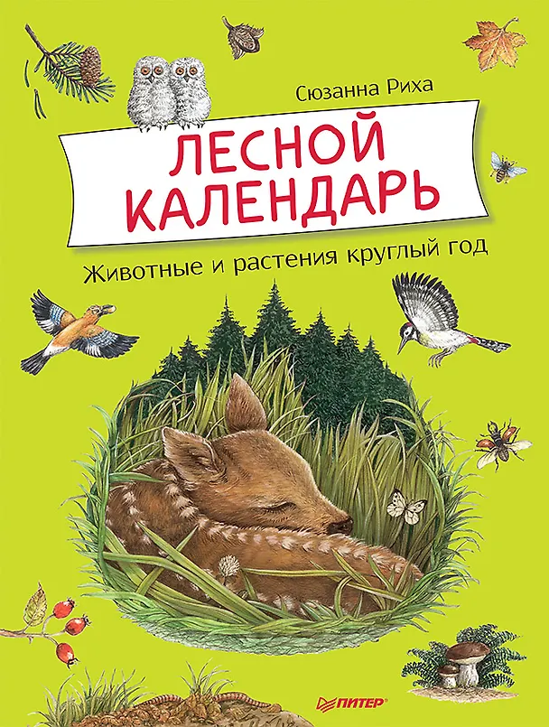 Книга Лесной календарь (Сюзанна Риха) — 1