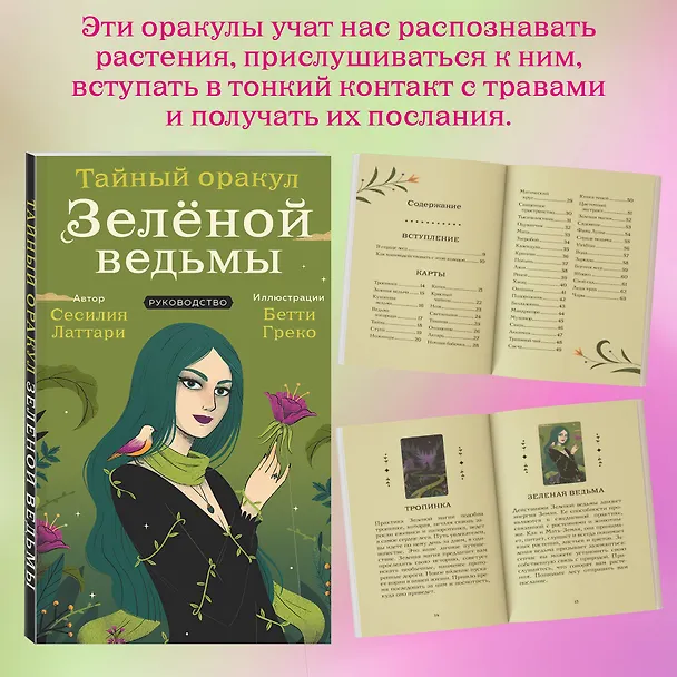 Книга Тайный оракул Зеленой ведьмы (50 карт и руководство в подарочном оформлении) (Сесилия Латтари) — 9