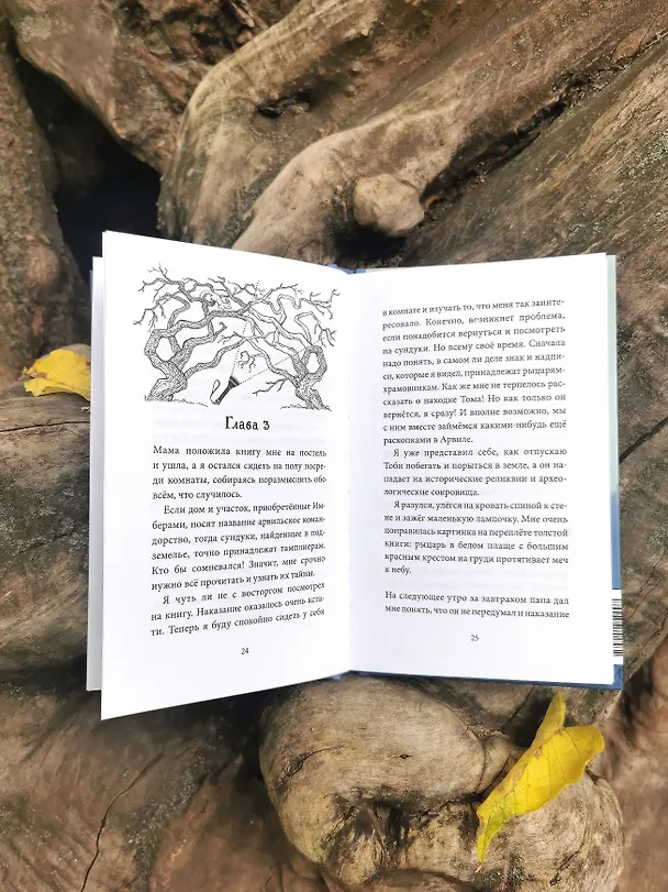 Книга Тайна заброшенного дома (Флориан Дениссон) — 12