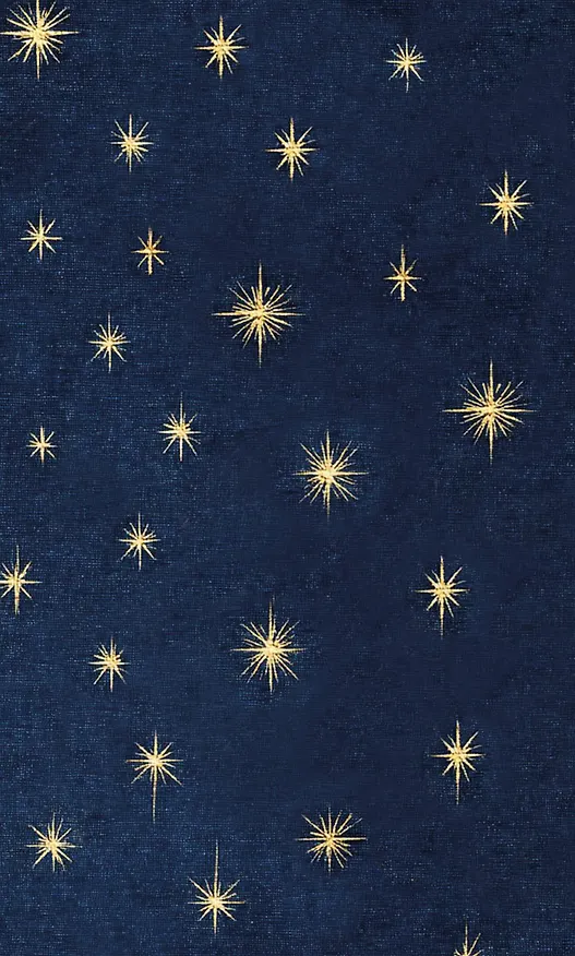 Ежедневник в стиле Хобоничи. Японский тренд. Звездное небо. 3171201 — 10