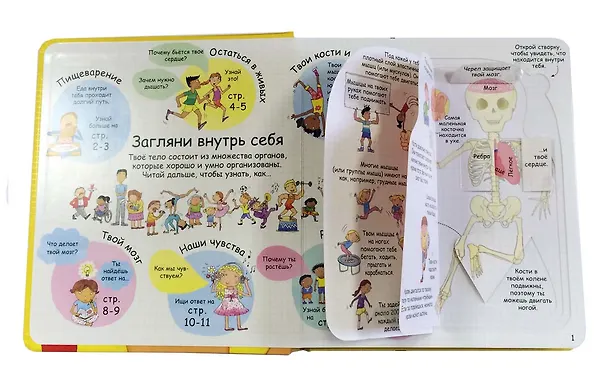 Книга Секреты человека (Луи Стовелл) — 2