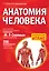 Анатомия человека — 2314466 — 1