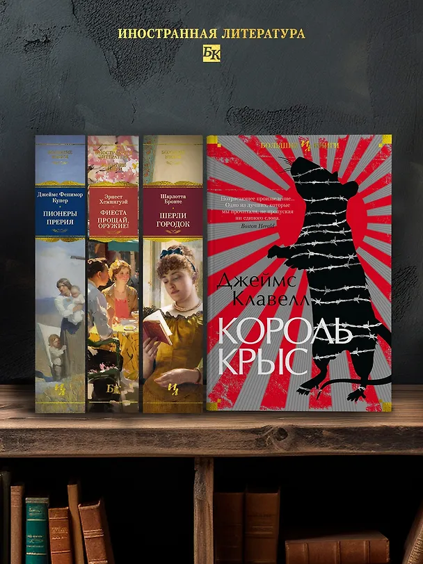 Книга Король крыс (Джеймс Клавелл) — 5