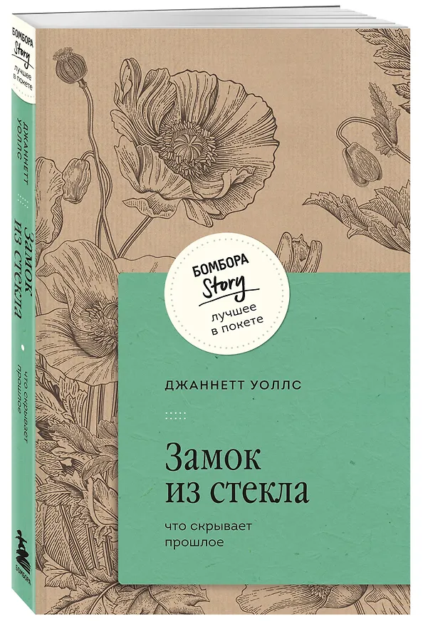 Книга Замок из стекла. Что скрывает прошлое (Джаннетт Уоллс) — 5