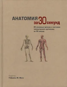 Анатомия за 30 секунд. Пер. с англ.