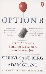 Option B. Facing Adversity, Building Resilience, and Finding Joy