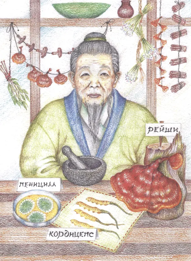 Книга Храброе семечко. Грибные истории. Познавательные сказки () — 8