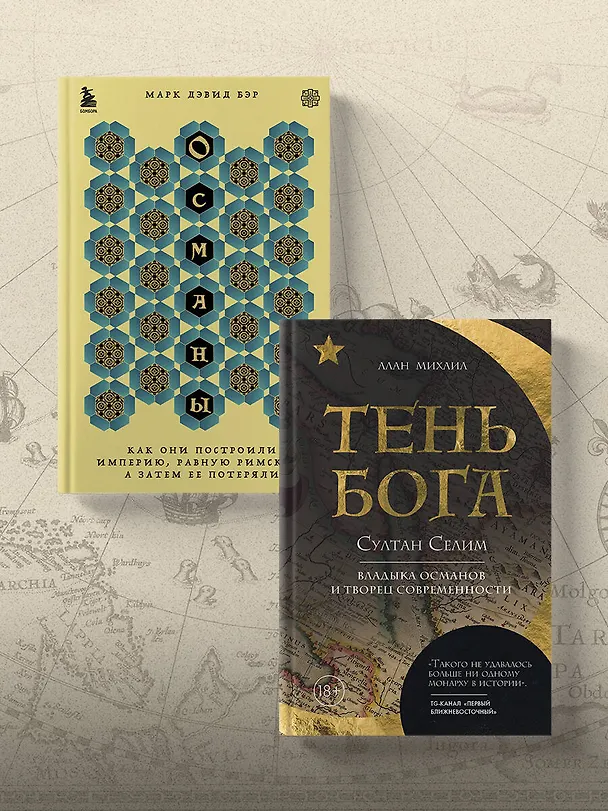 Книга Тень Бога. Султан Селим. Владыка Османской империи и творец современного мира (Алан Михаил) — 10