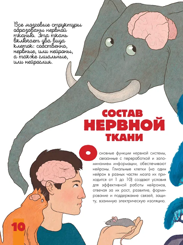 Книга Мозг и нервная система (Вячеслав Дубынин, Игорь Сергеев) — 10