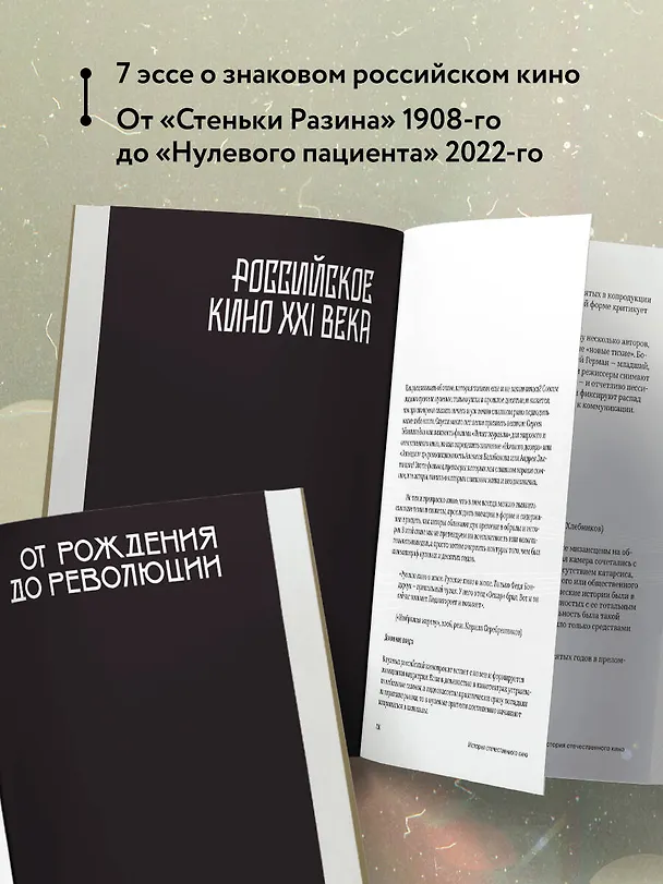Книга История отечественного кино (Даулет Жанайдаров, Полина Рыжова, Ильдар Валиуллин) — 6