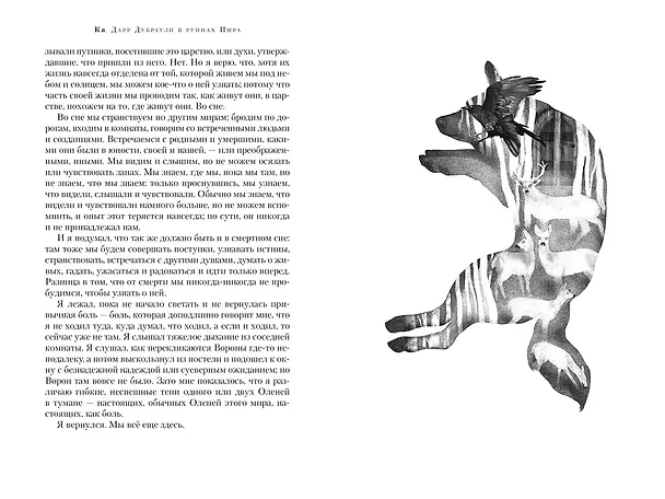 Книга Ка. Дарр Дубраули в руинах Имра (Джон Краули) — 8