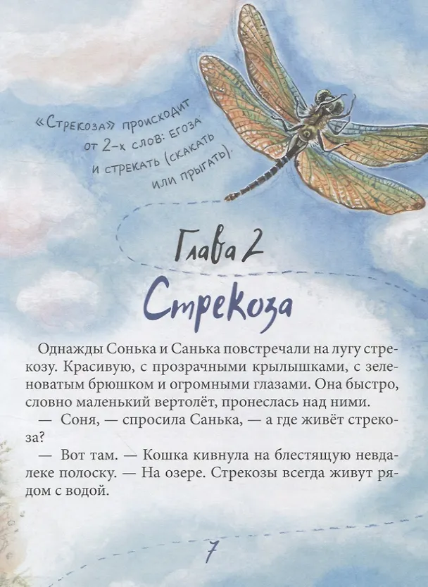 Книга Санька и Сонька (Майя Костюк) — 5