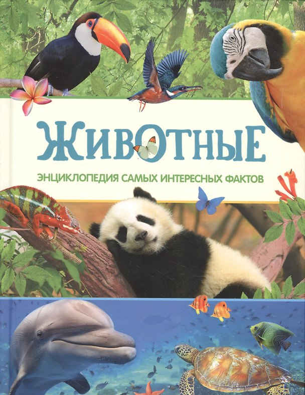 Книга Животные. Энциклопедия самых интересных фактов (Сюзанна Дэвидсон) — 1