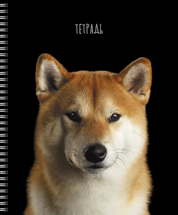 Тетрадь общая «Selfie dog», 48 листов в клетку, A5, в ассортименте - Listoff 3039395 — 3