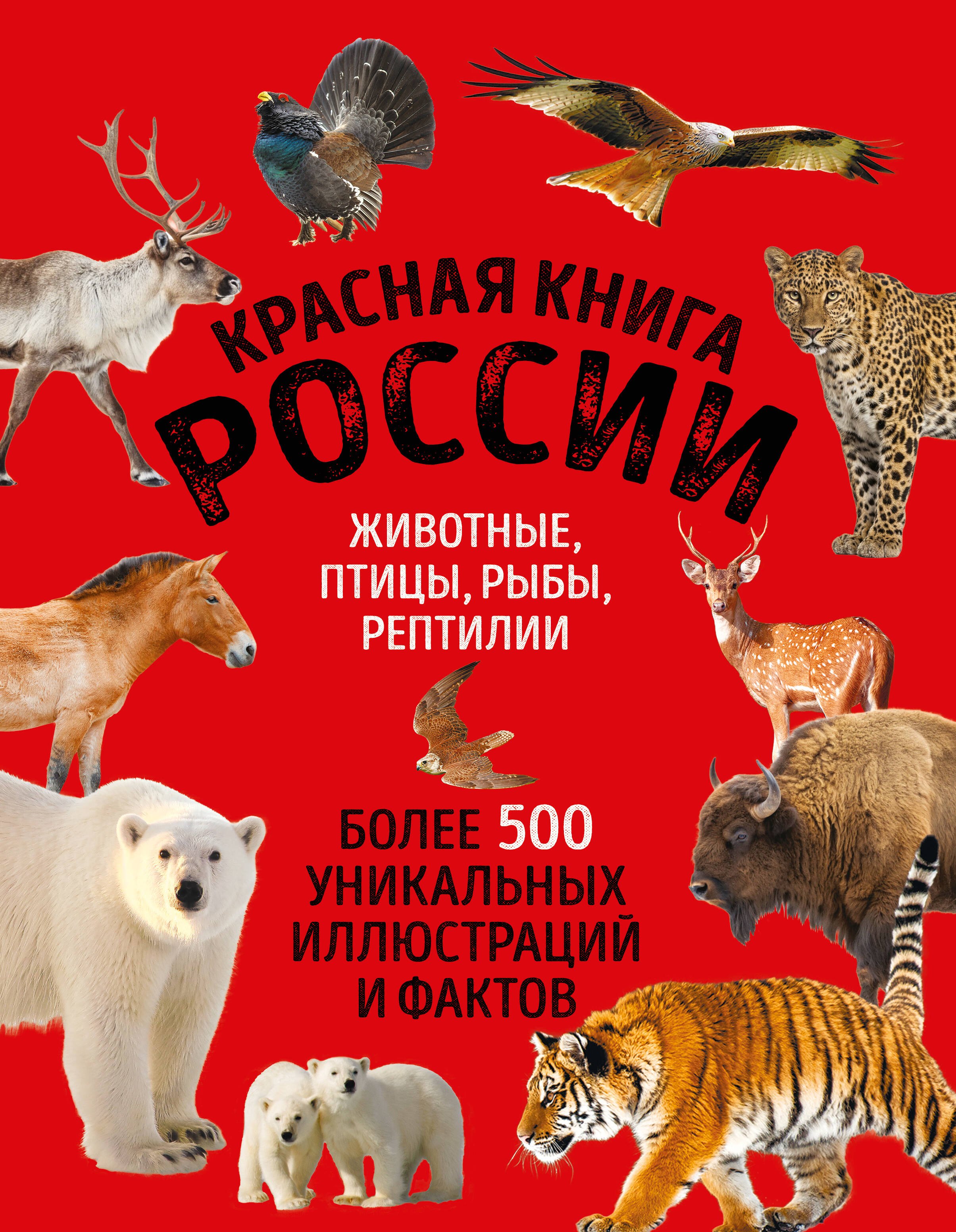 Михайловна Добрыня Юлия: Красная книга России. Животные, птицы, рыбы, рептилии. Более 500 уникальных иллюстраций и фактов (новое издание) (основной)