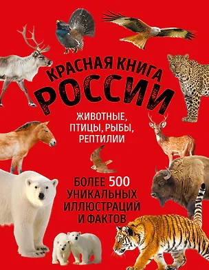 Книга Красная книга России. Большой формат. Более 500 уникальных иллюстраций и фактов (новое издание) (основной) (Юлия Добрыня)