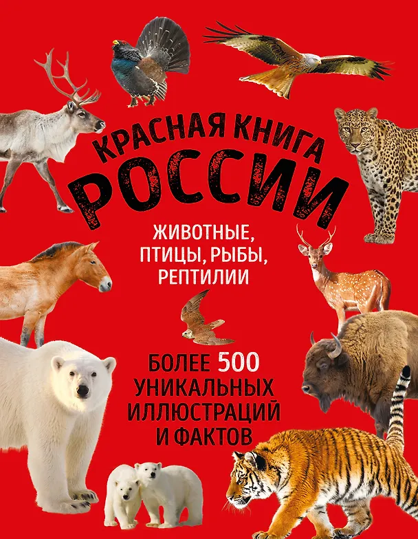 Книга Красная книга России. Большой формат. Более 500 уникальных иллюстраций и фактов (новое издание) (основной) (Юлия Добрыня) — 1