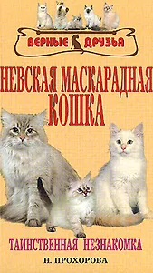 Невская маскарадная кошка. Таинственная незнакомка
