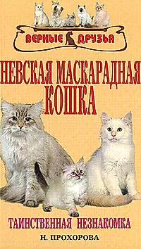 Невская маскарадная кошка. Таинственная незнакомка — 2173502 — 1