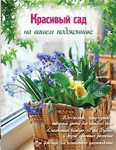 Красивый сад на вашем подоконнике