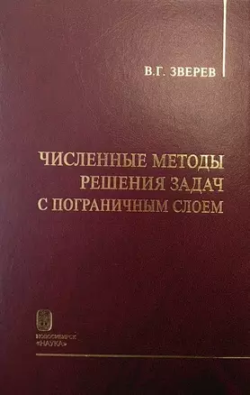 Численные методы решения задач с пограничным слоем — 2756608 — 1