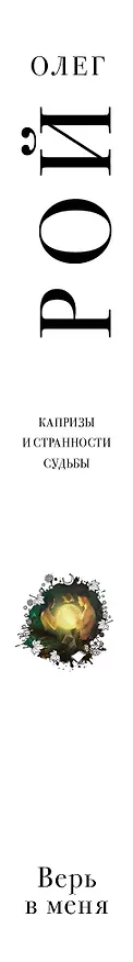 Книга Верь в меня (Олег Рой) — 3